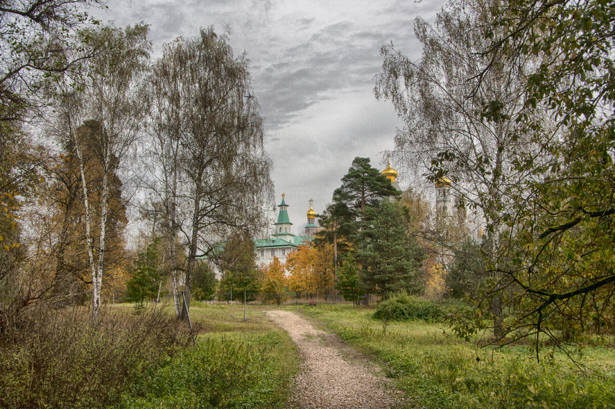 ставропигиальный мужской монастырь Русской православной церкви в городе Истре Московской области - Юрий Яньков