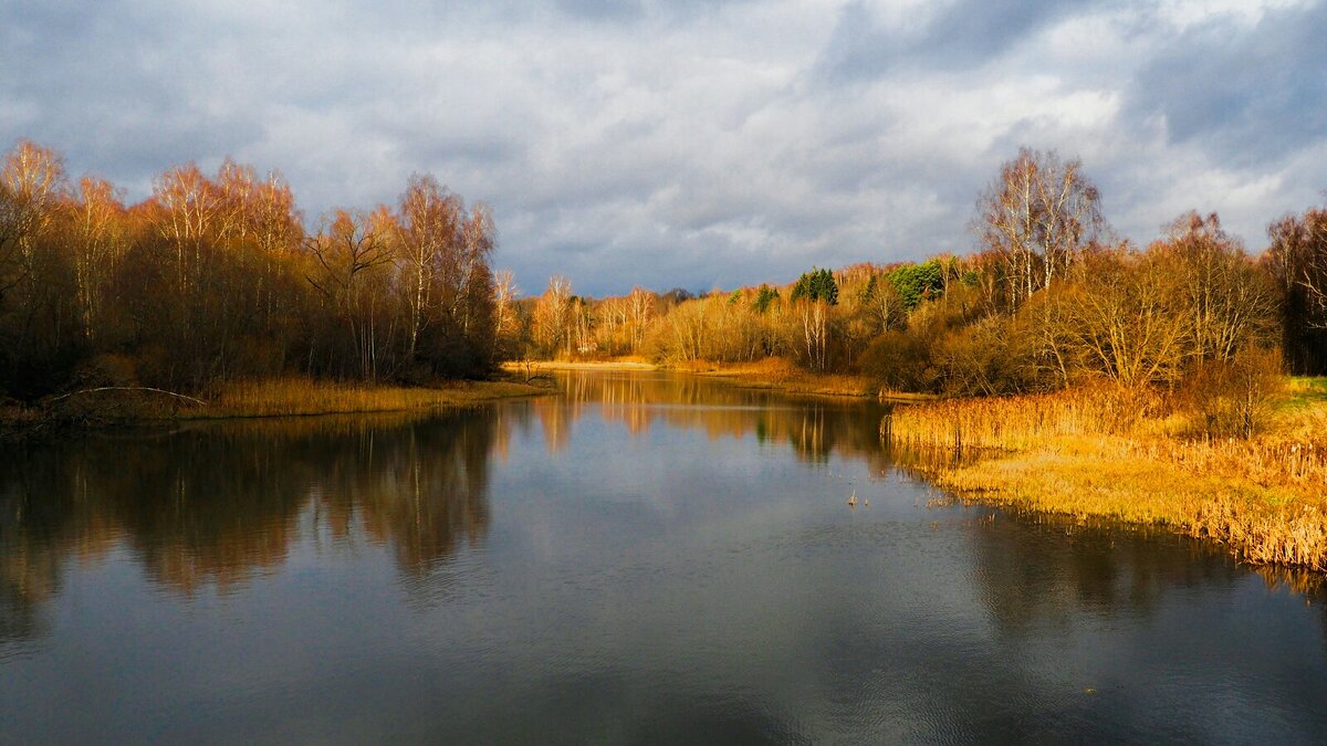 Осенняя природа Смоленщины. - Милешкин Владимир Алексеевич 