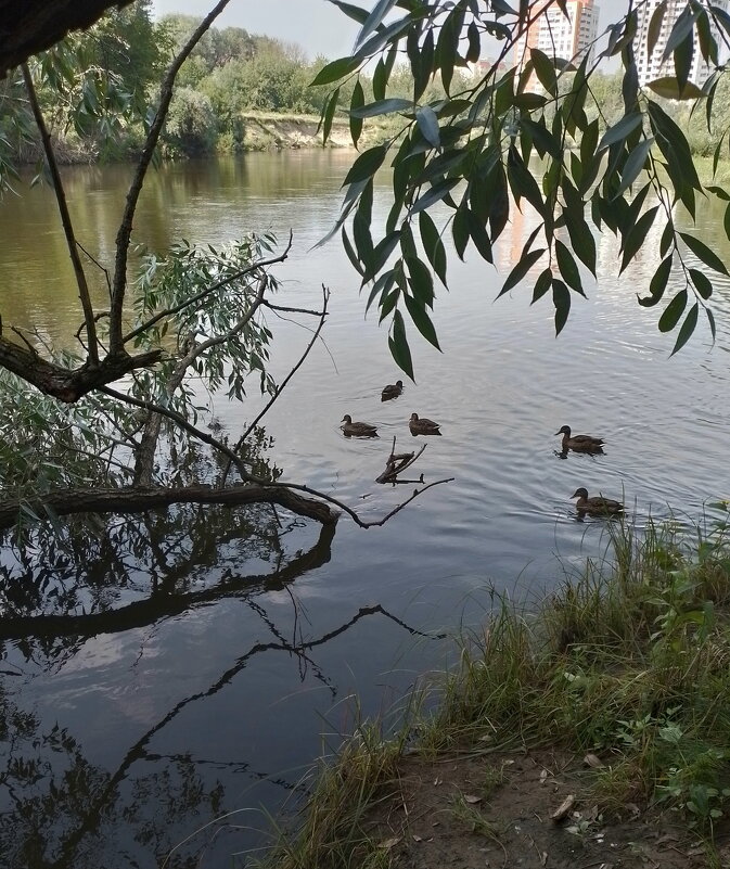 *** - Валентина Береснева