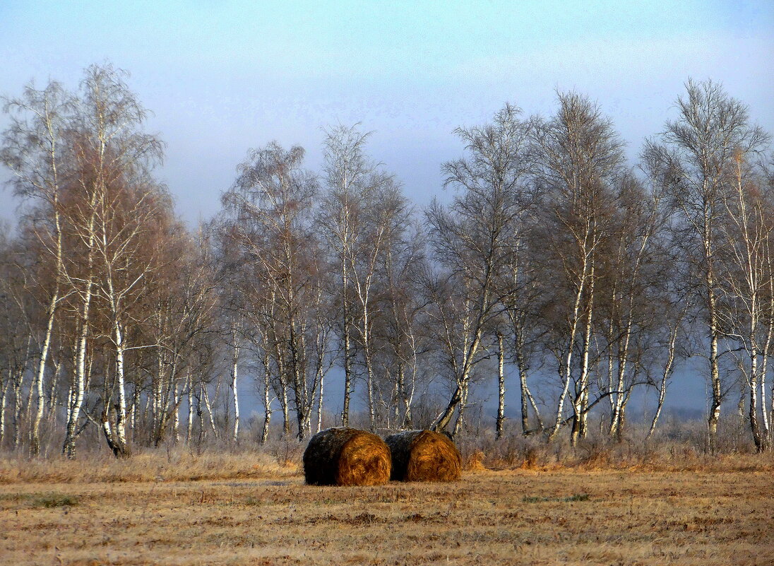 Ноябрь . - nadyasilyuk Вознюк