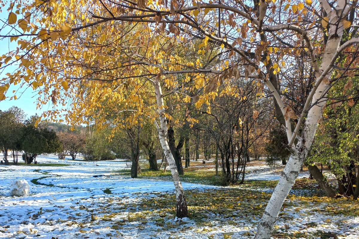 Между осенью и зимой - Милорад 