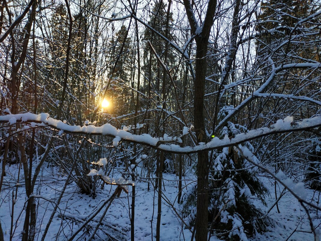 Предзимье - Андрей Лукьянов