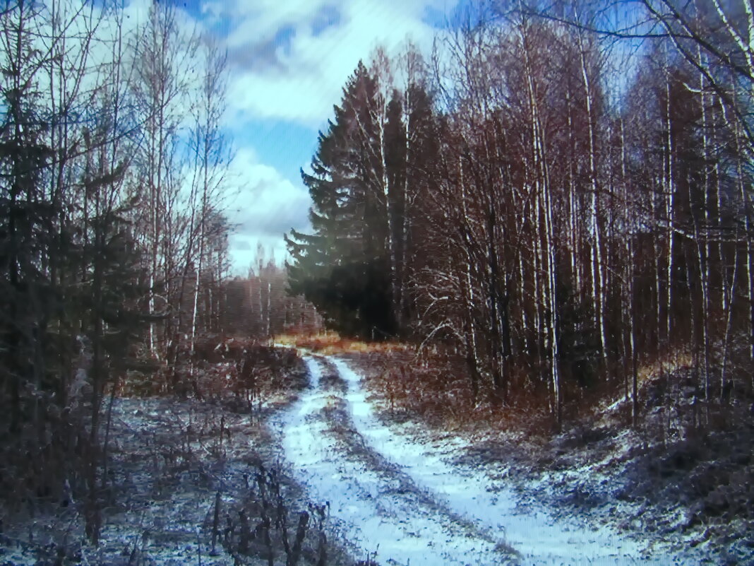 По лесной дорожке - Людмила Смородинская