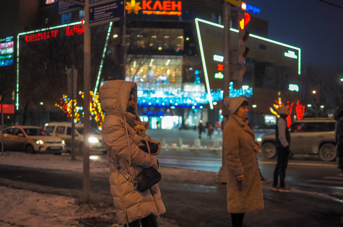 Вечер в Городе - юрий поляков