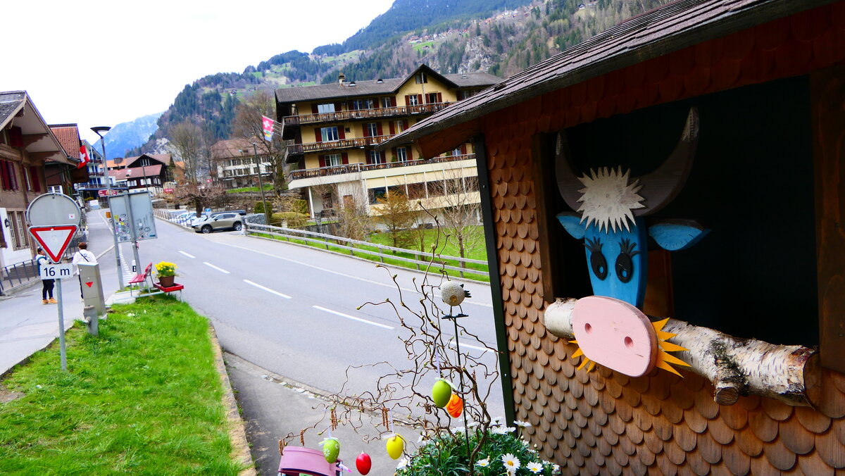 "Lauterbrunnen - Grütschalp" (Mürren). - "The Natural World" Александер