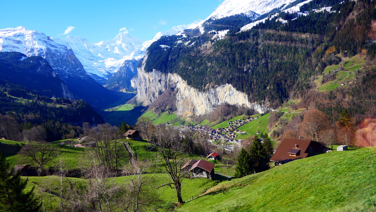 "Lauterbrunnen - Grütschalp" (Mürren). - "The Natural World" Александер