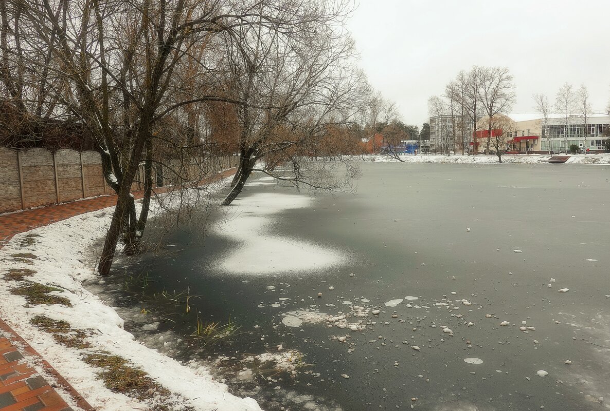 Зима пришла, сковала пруд. - Татьяна Помогалова