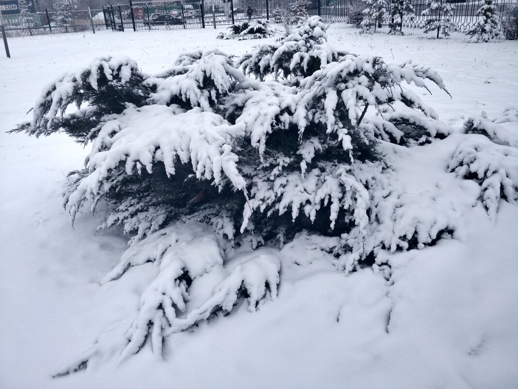 Снег - Андрей Хлопонин