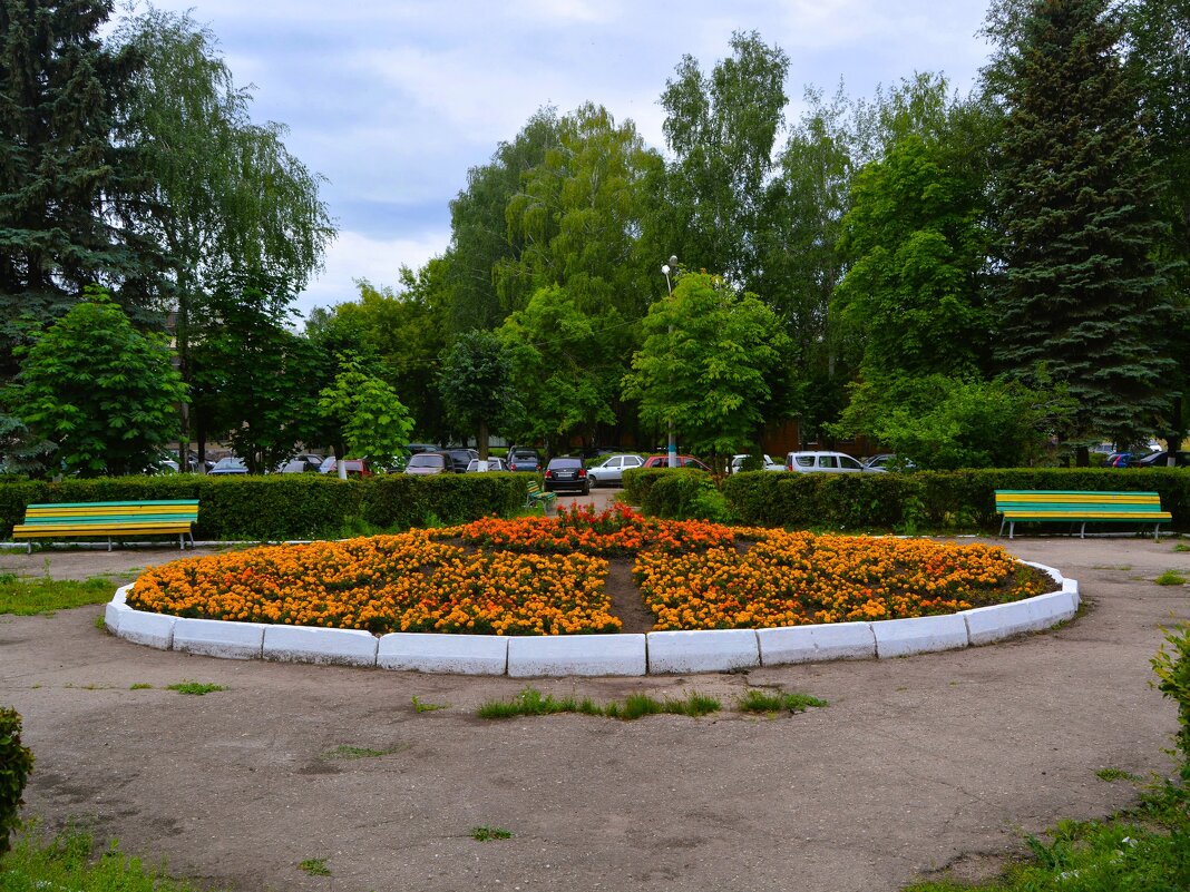 Новочебоксарск. Клумба в сквере комбината "Химпром". - Пётр Чернега