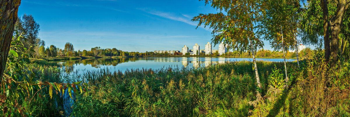 Озеро в городе - Андрей Сосновский