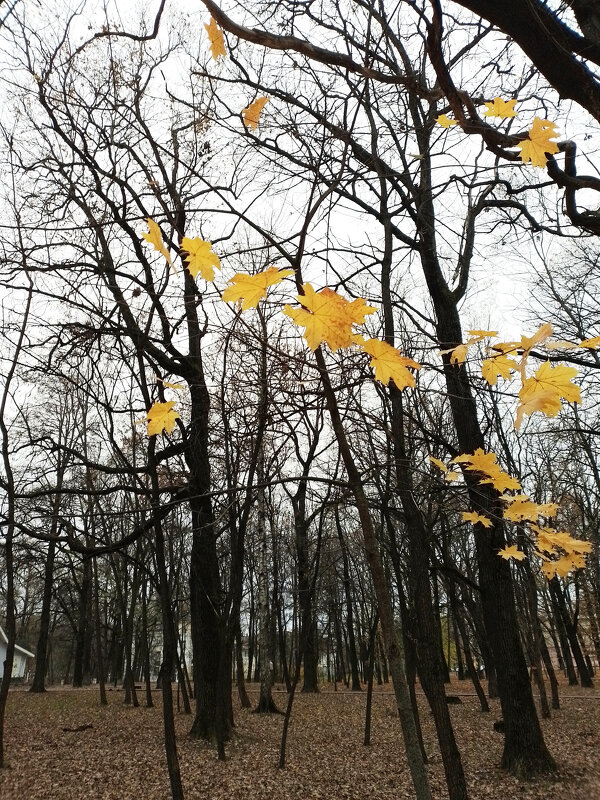 *** - Валентина Береснева