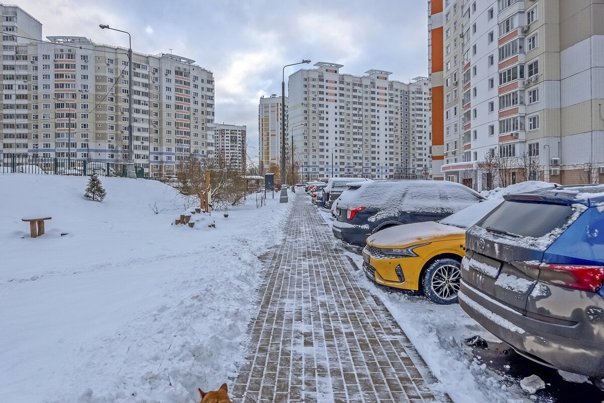 Прогулка по району - Валерий Иванович