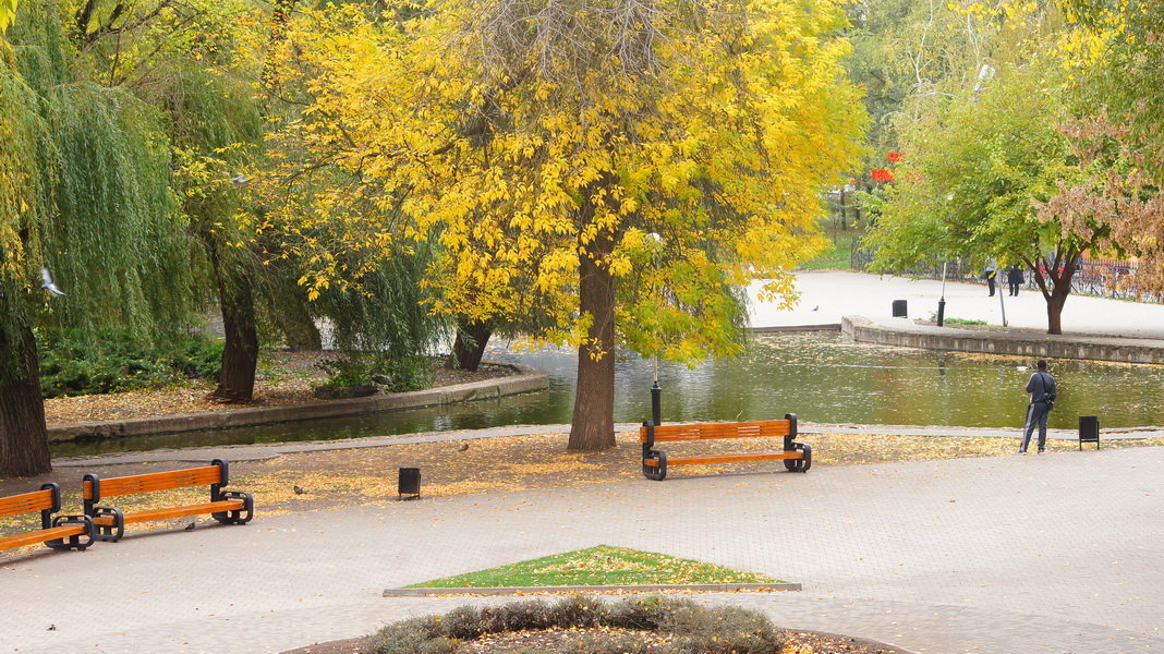 Осень в парке - Serega Денисенко