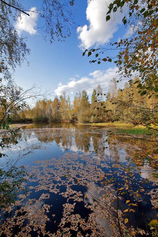 осень - евгений 