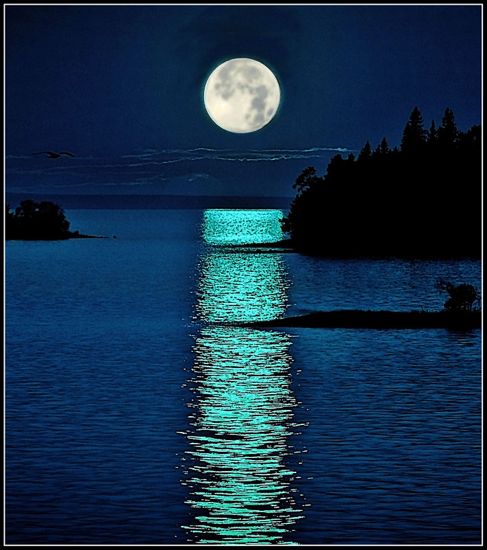 лунная ночь - ник. петрович земцов