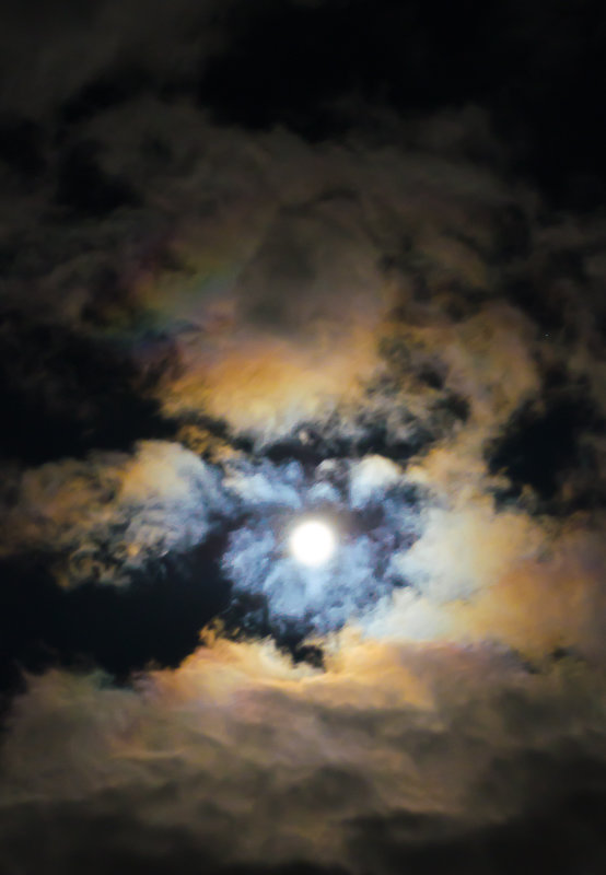Луна, как бледное пятно - Кот Шредингера