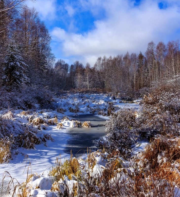 Замерзающий ручей - Николай Андреев