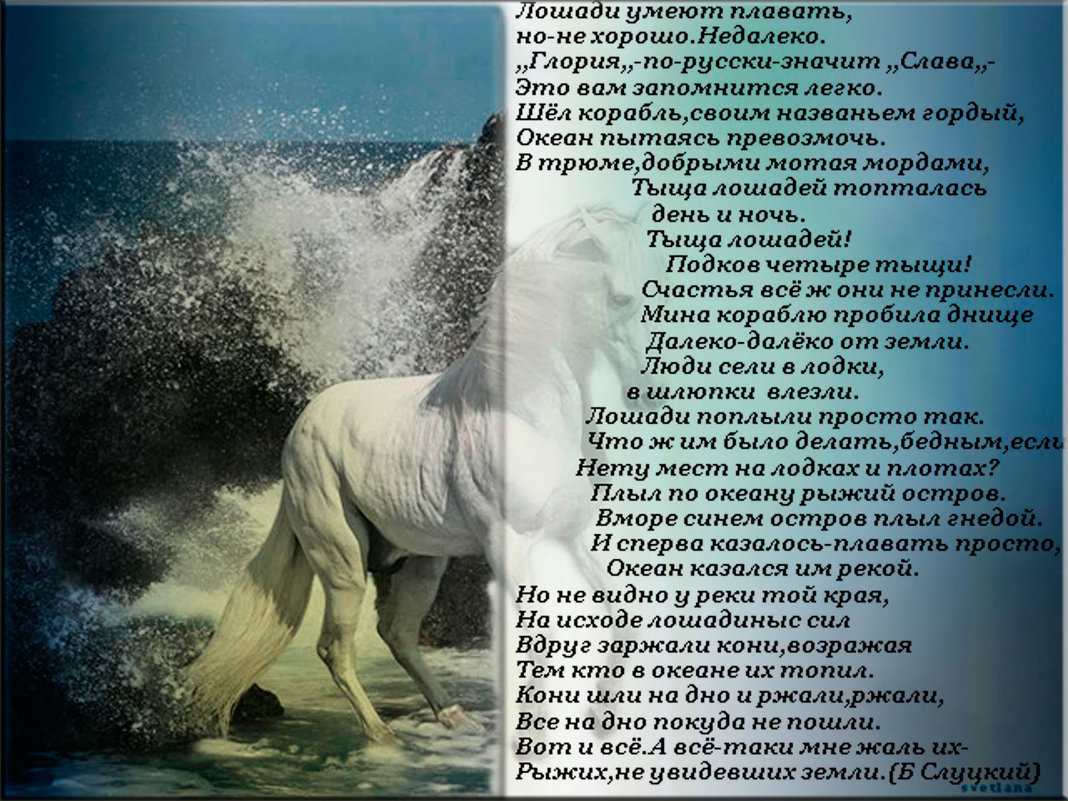 стихи - Svetlana Makarenko