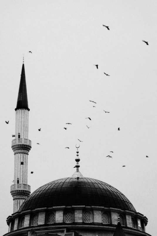 Мечеть - Сахаб Шамилов