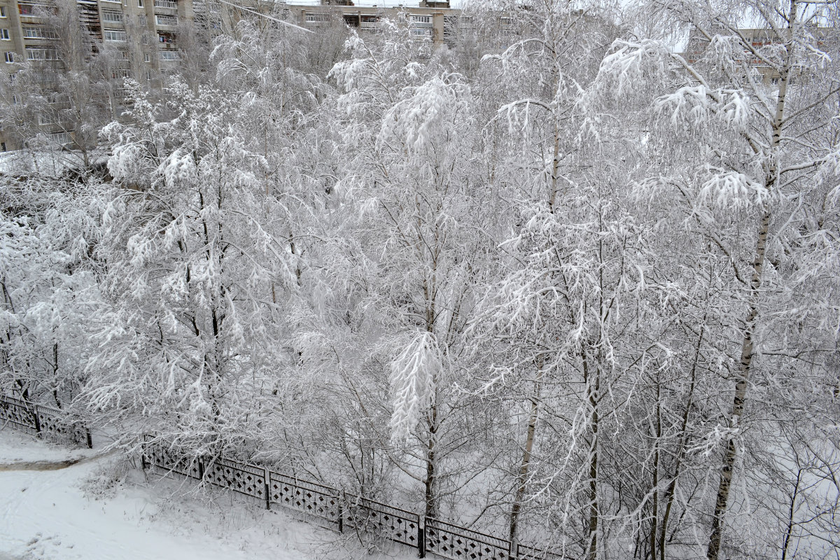 первый снег............ - Светлана 