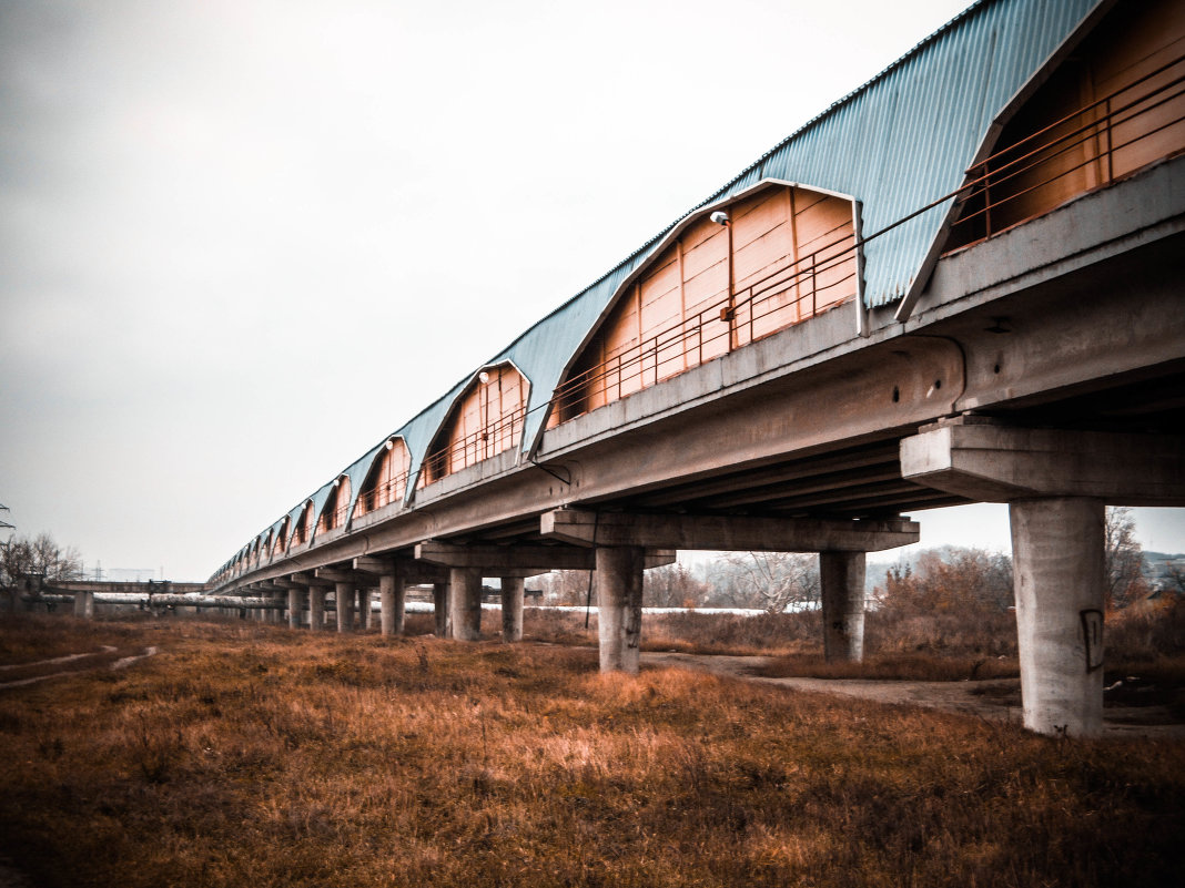 Метромост - Александр Сальтевский