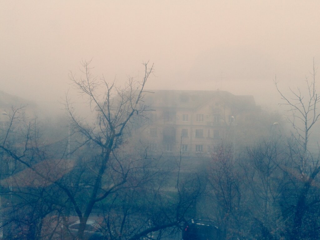 В тумане - Виктория 