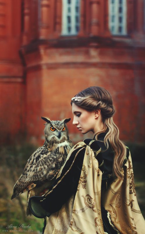 owl - Alena Skazka