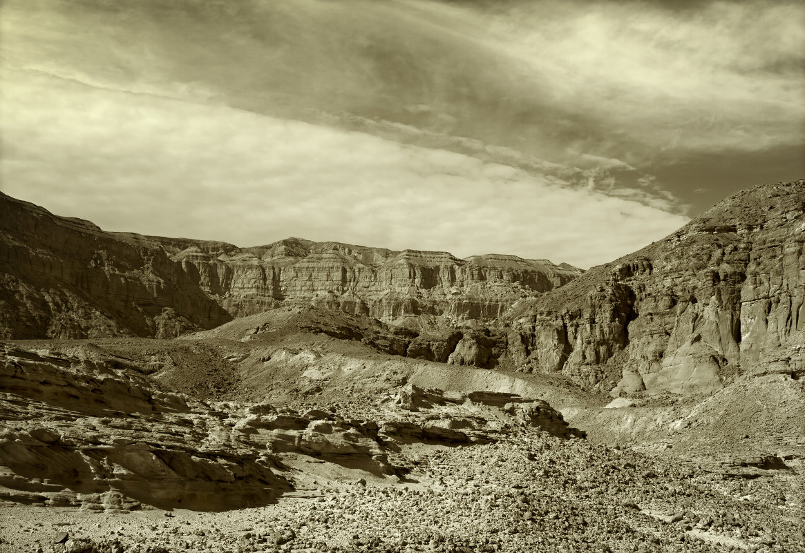 Timna national geological park of Israel. - Lidiya Dmitrieva