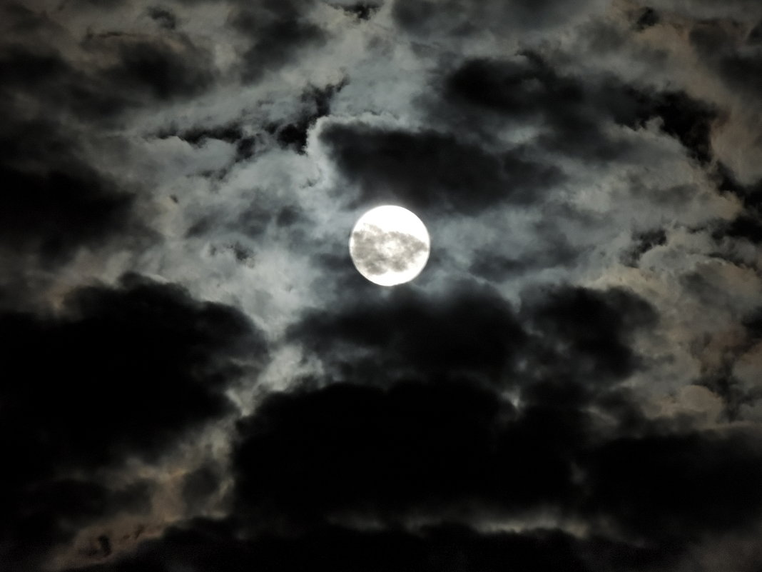 Луна - ФотоКот  