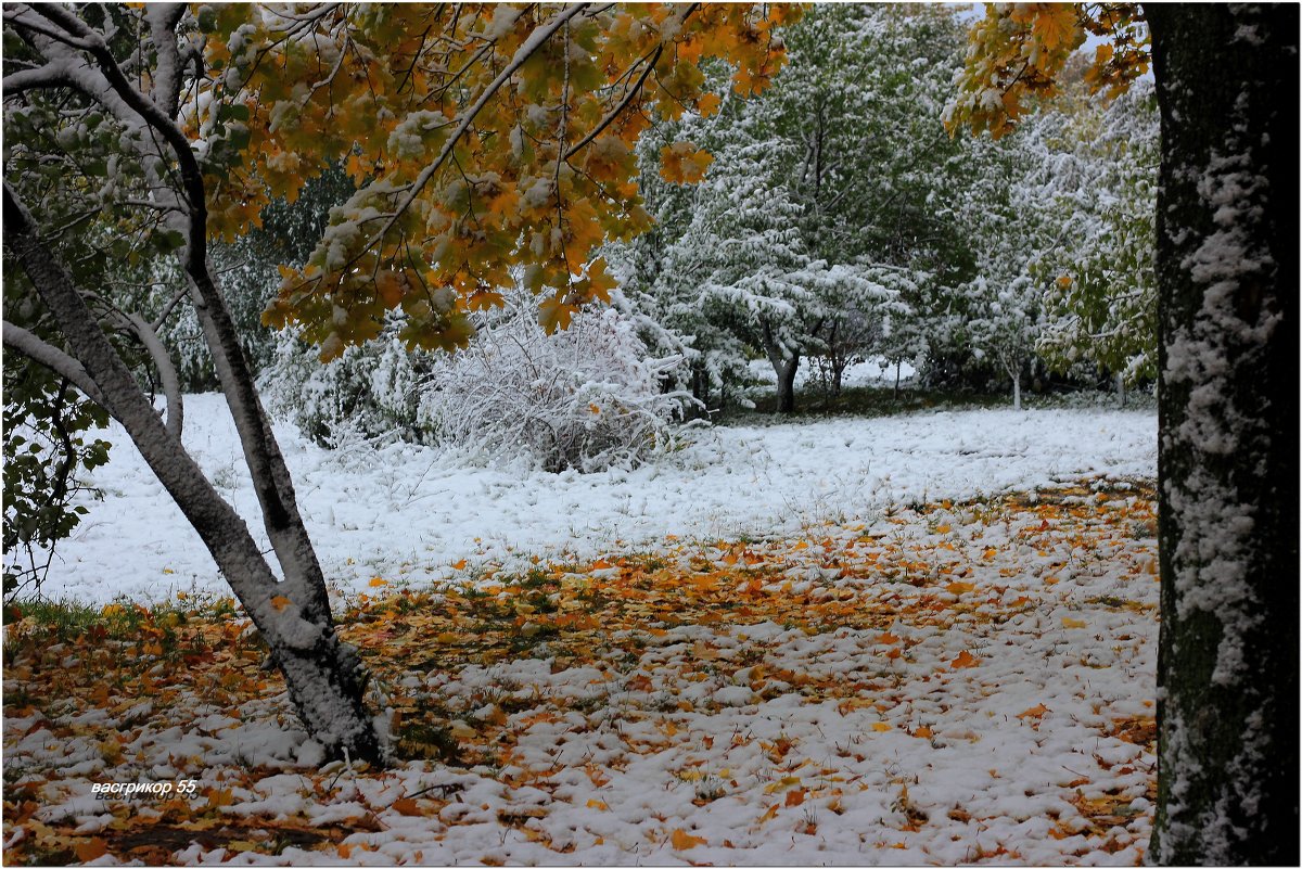 Октябрь. - Василий Григорьевич 