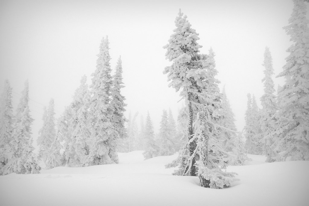 Siberian winter - Sergey Shcheblykin