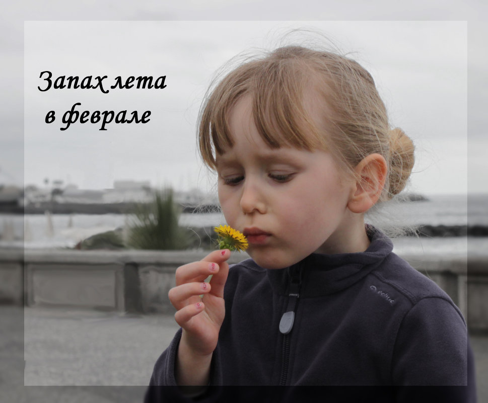 Запах лета в феврале - Дарья Веселова