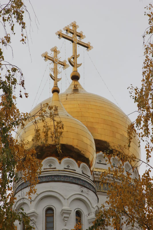 Купола Спасо-Преобр-аженского собора в Тольятти. - Александр 