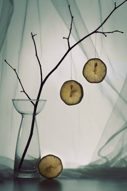 Лимонное дерево - Наталья Немчинова