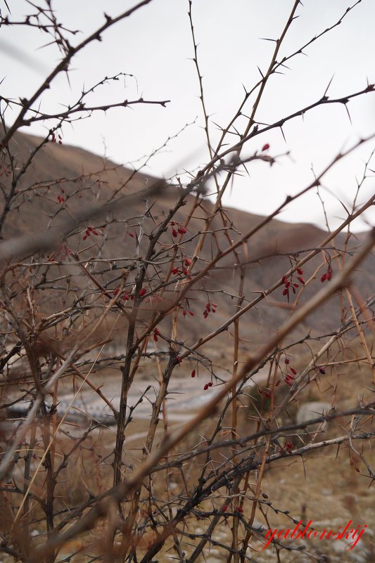 осень в горах - валентин яблонский