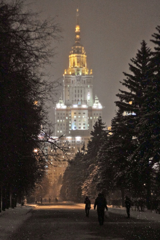 Снежное фото - Тата Казакова