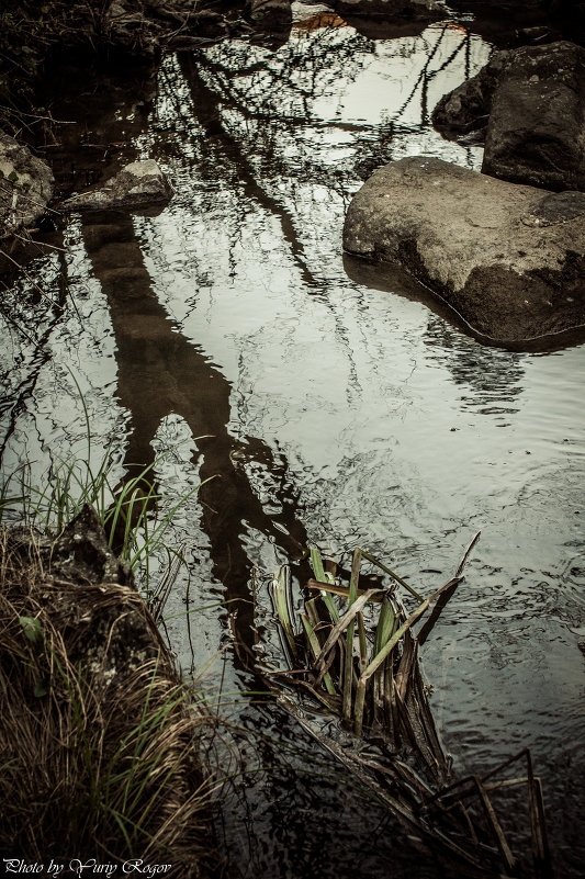 Mourão river - Yuriy Rogov