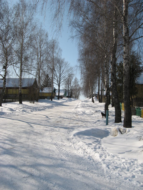 Зимняя улица - Alena Cyargeenka