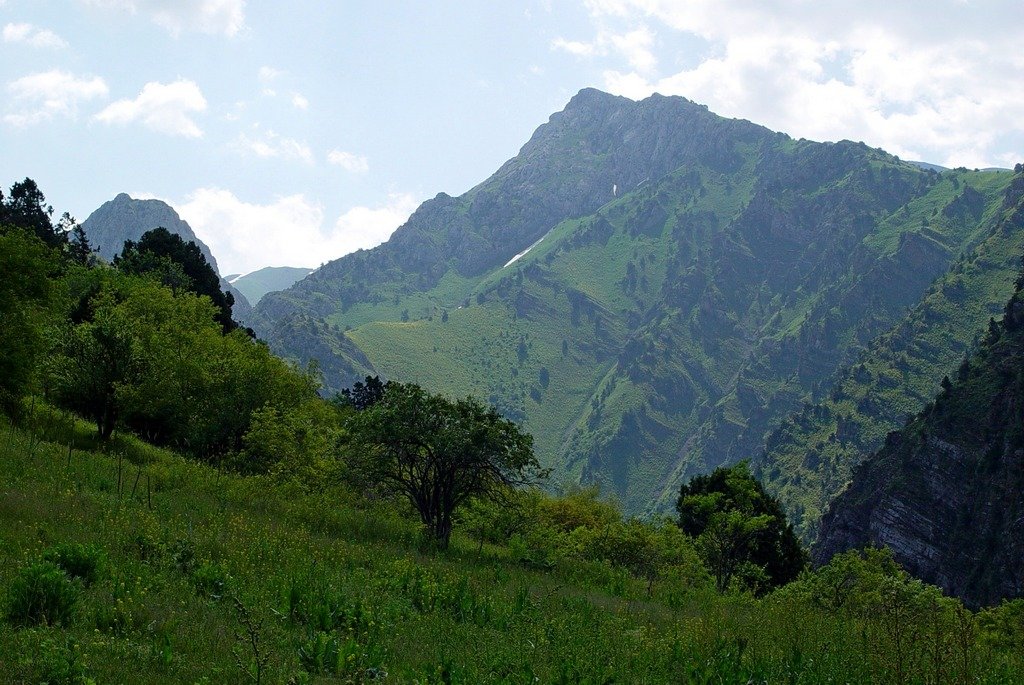 КУЛОСЬЯ - Виктор Осипчук