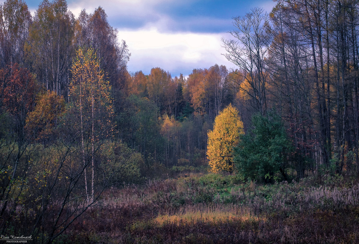 Осенняя пора - 2 - Oleg Ko