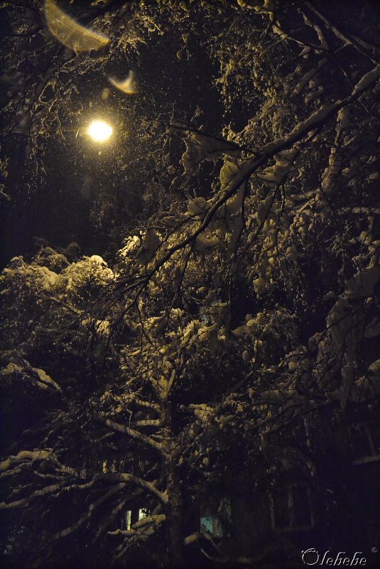 Под светом фонаря-луны - Олеся Бе бе
