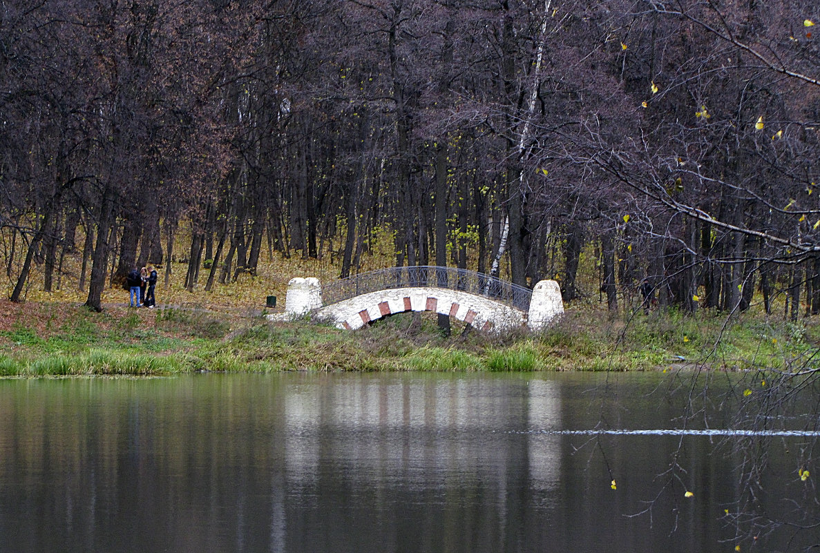 Горбатый мостик на левом берегу Верхнего Кузьминского пруда - Сергей Мягченков