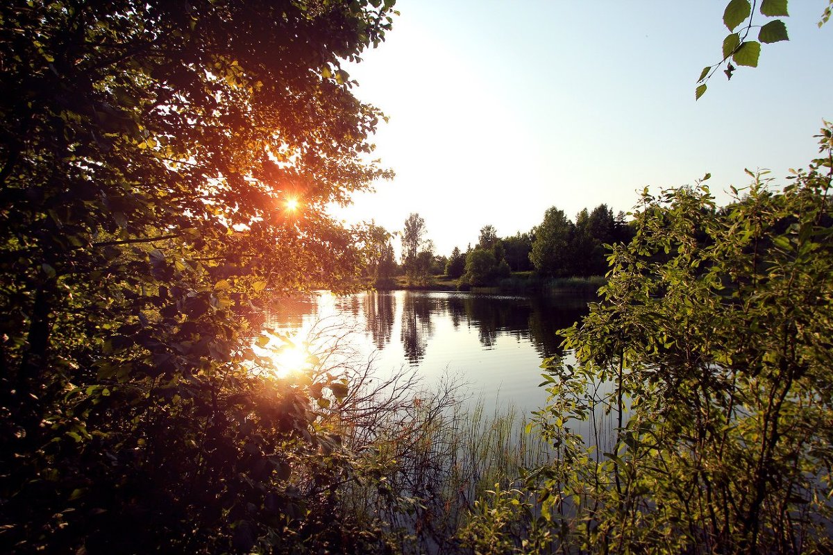 Закат на озере - Анастасия Володина