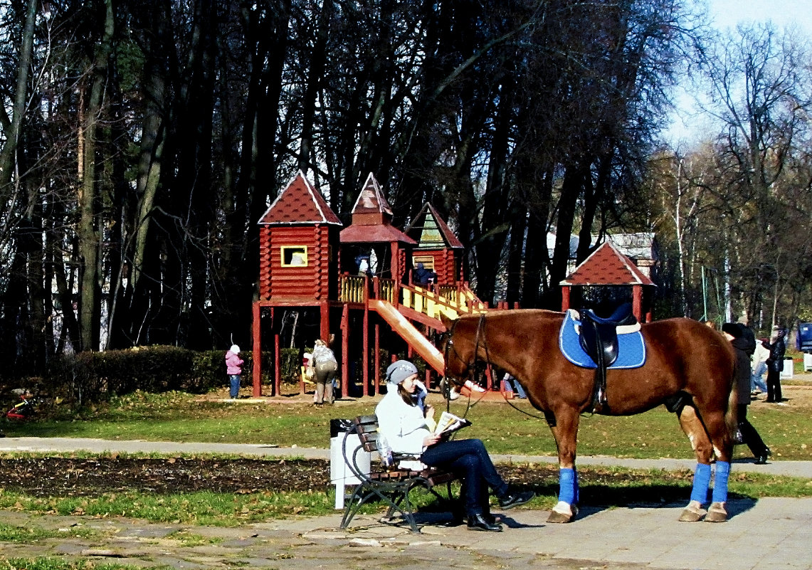 Девушка и лошадь - Сергей Мягченков