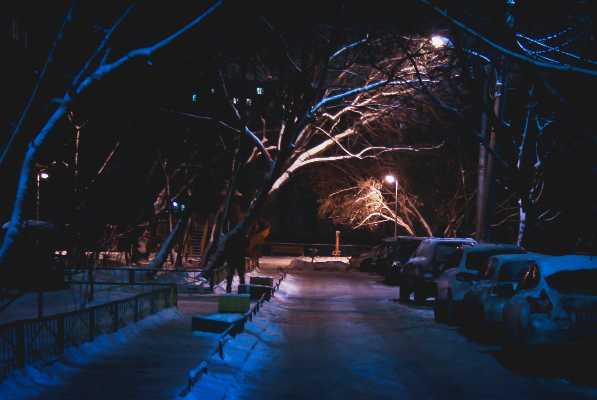 Вечерняя зимняя улица - Мария Клюева