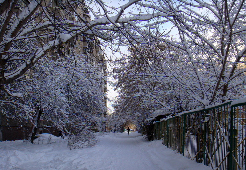 *** - Елизавета Успенская