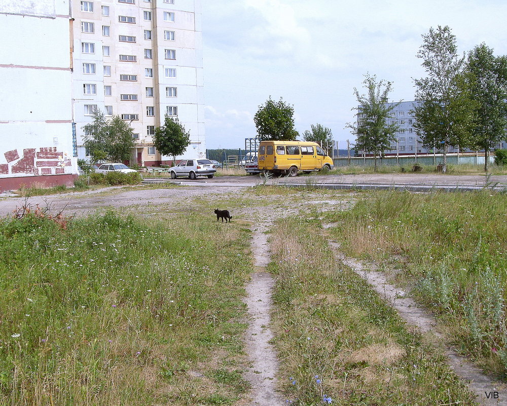 Домой в город - Владимир 