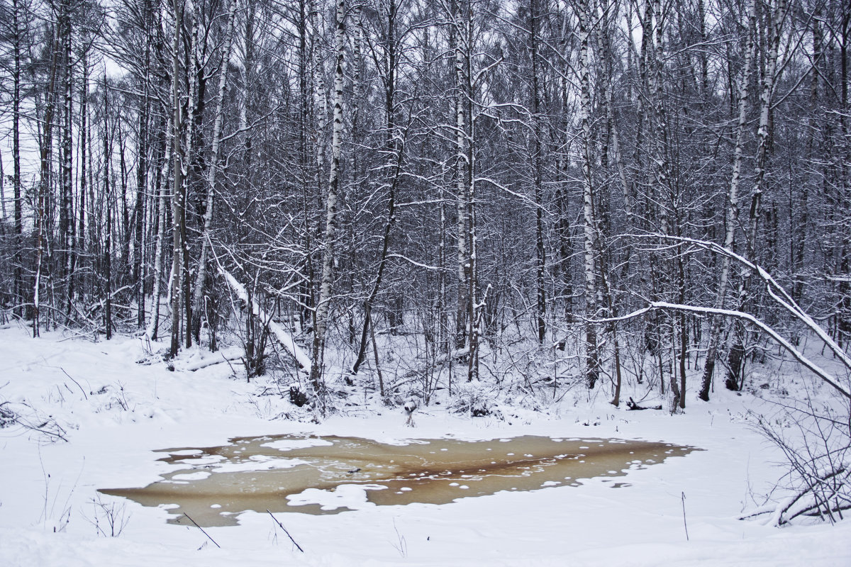 Winter in Moscow - Keti B