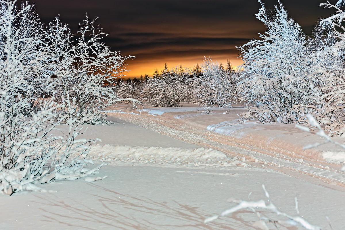 Вечерний зимний лес - Яна К