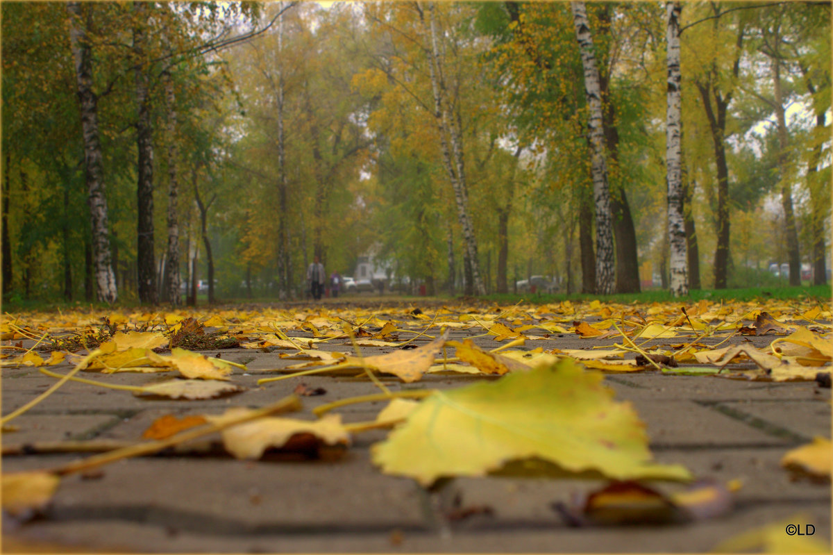 Осень - Лариса Дорошенко